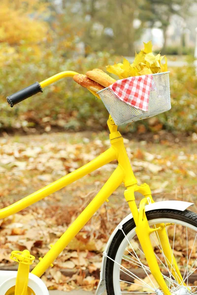 Bicicleta amarela no parque de outono — Fotografia de Stock