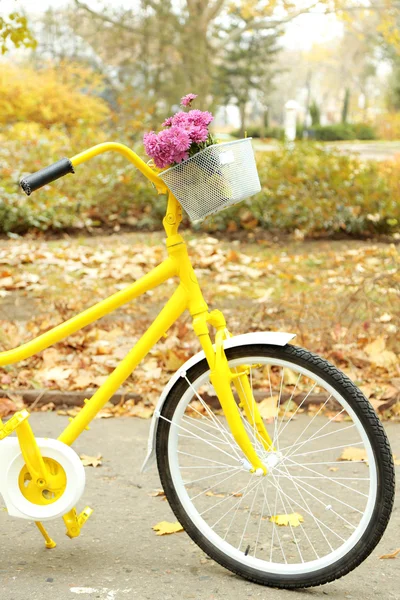 在秋天公园辆黄色的自行车 — 图库照片