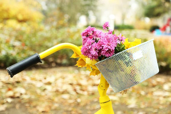 Yellow bicycle in autumn park — Stock Photo, Image