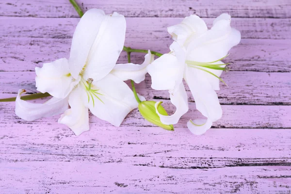 Beautiful lily on wooden table — Stock Photo, Image