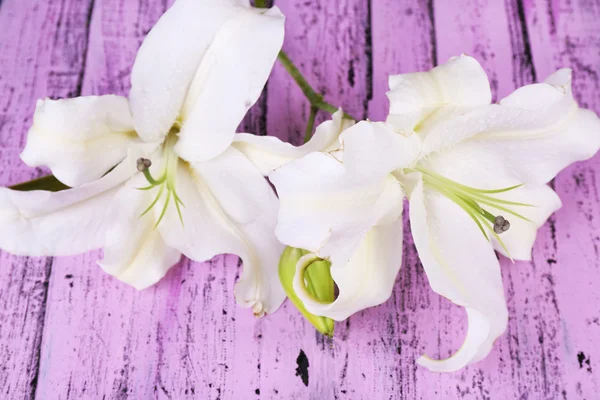 Beautiful lily on wooden table — Stock Photo, Image