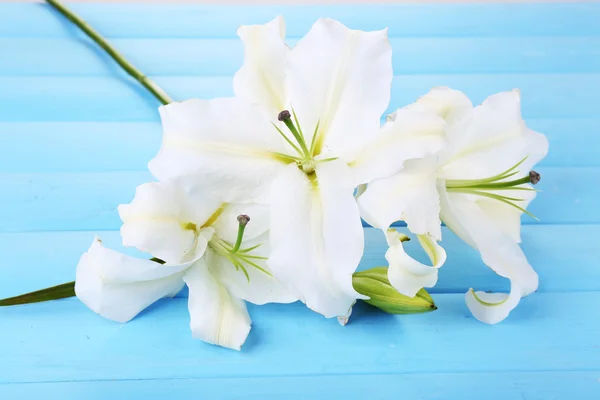 Prachtige lelie op houten tafel — Stockfoto