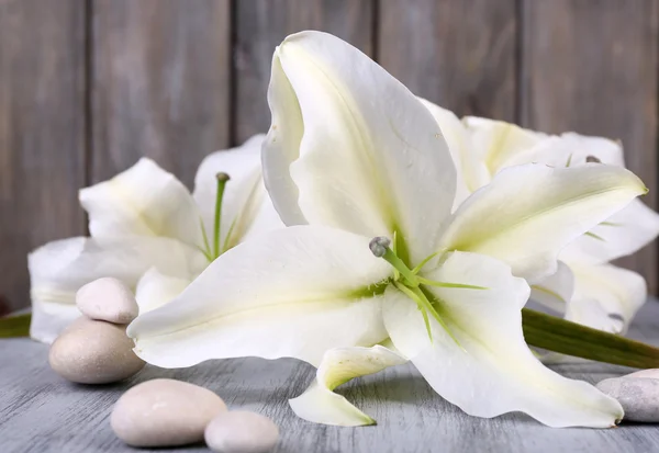 Vackra lily på träbord — Stockfoto