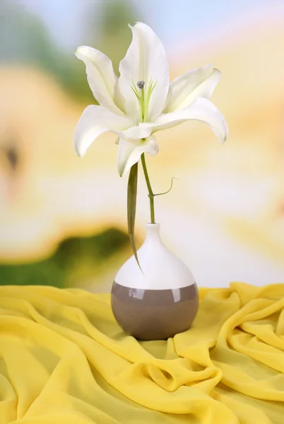 Lírio bonito em vaso no fundo brilhante — Fotografia de Stock