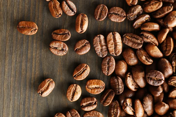 커피 콩 나무 배경, 클로즈업 — 스톡 사진