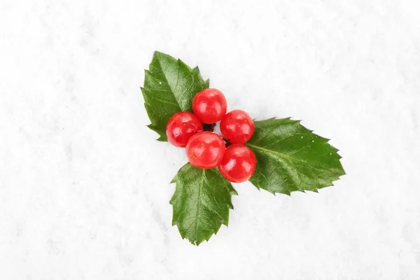 Çilek ile Avrupa Holly — Stok fotoğraf