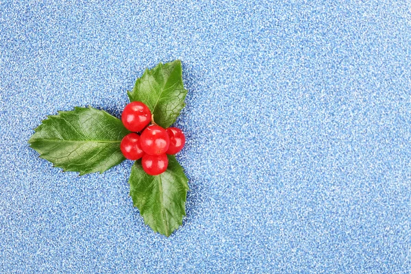 European Holly with berries — Stock Photo, Image