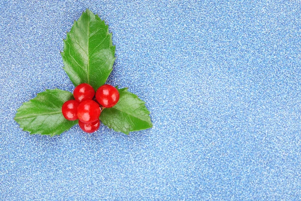 European Holly with berries — Stock Photo, Image