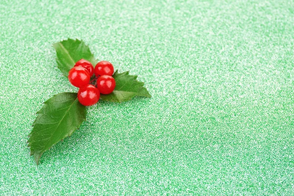 European Holly with berries — Stock Photo, Image