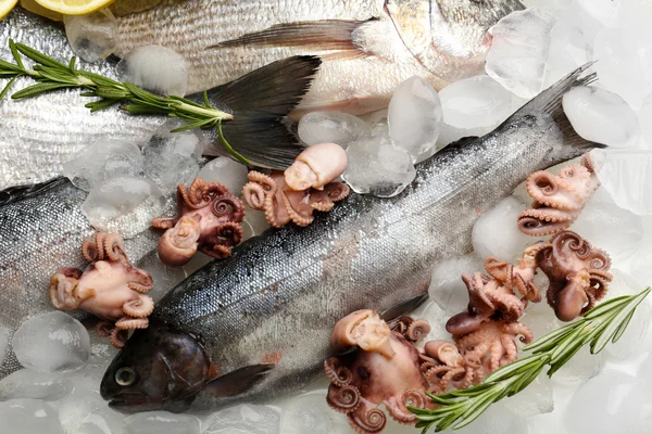 Pescado fresco y pulpo sobre hielo —  Fotos de Stock