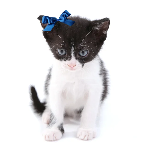 Cute little kitten, isolated on white — Stock Photo, Image