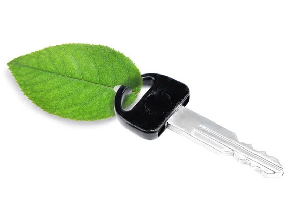 Car key with green leaf — Stock Photo, Image