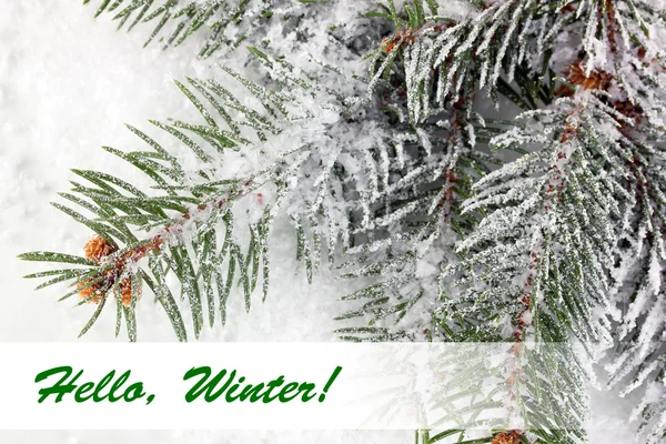 Olá Winter, cartão de felicitações — Fotografia de Stock