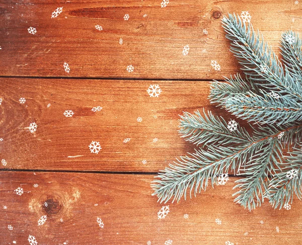 Abete verde su sfondo di legno — Foto Stock