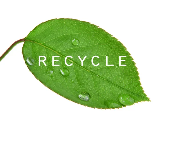 Recycle symbol on green leaf — Stock Photo, Image