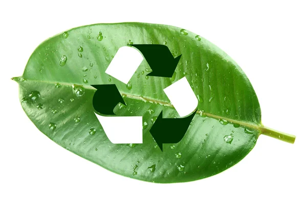 Recycle symbol on green leaf — Stock Photo, Image