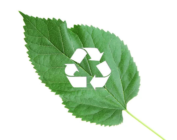 Recycle symbol on green leaf — Stok Foto