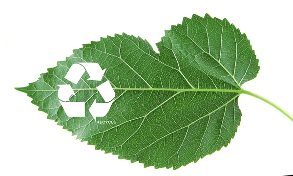 Recycle symbool op groene blad, verwerkingsconcept — Stockfoto