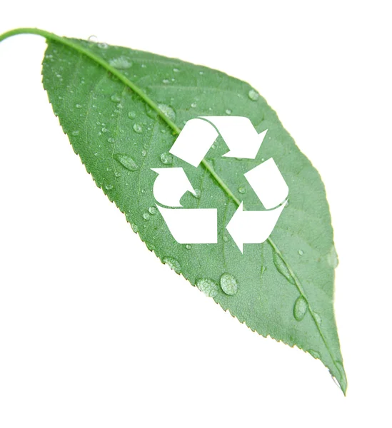 Återvinna symbol på gröna blad, återvinning koncept — Stockfoto