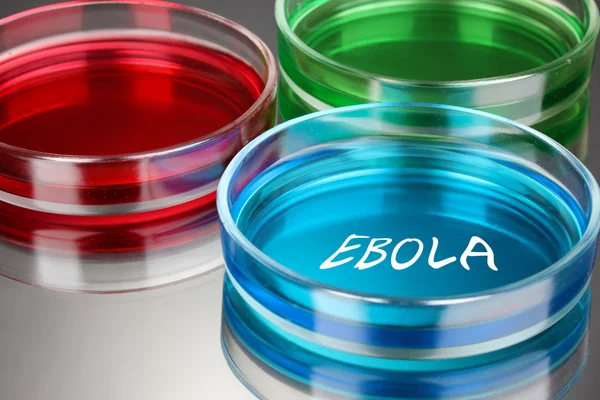 Νόσος του ιού Έμπολα — Φωτογραφία Αρχείου