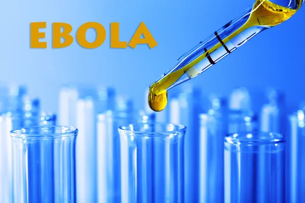 Ebola virus disease — Stock Photo, Image