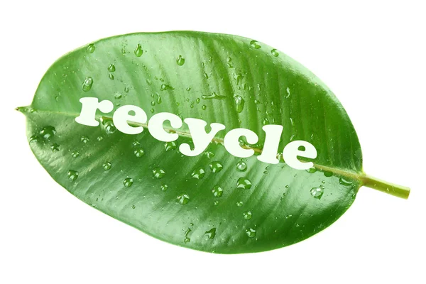 Word recycle symbool op groene blad, verwerkingsconcept — Stockfoto