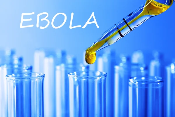 Ebola virus disease — Stock Photo, Image