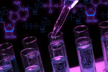 test tüpleri sıvı ile