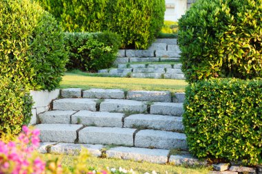 Parkta taş basamaklar