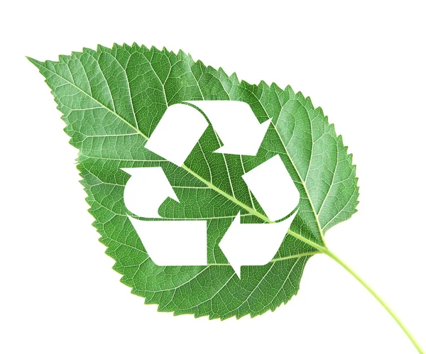 Recycle symbol on green leaf — Stock Photo, Image