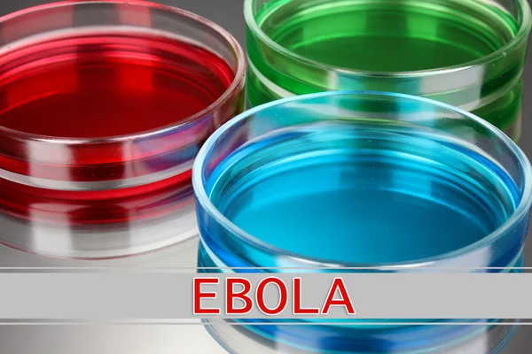 Ebola virus disease — Stock Photo, Image