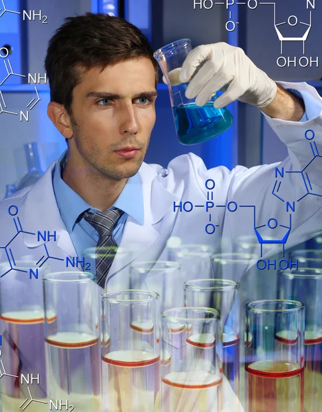 Joven científico de laboratorio trabajando en laboratorio — Foto de Stock