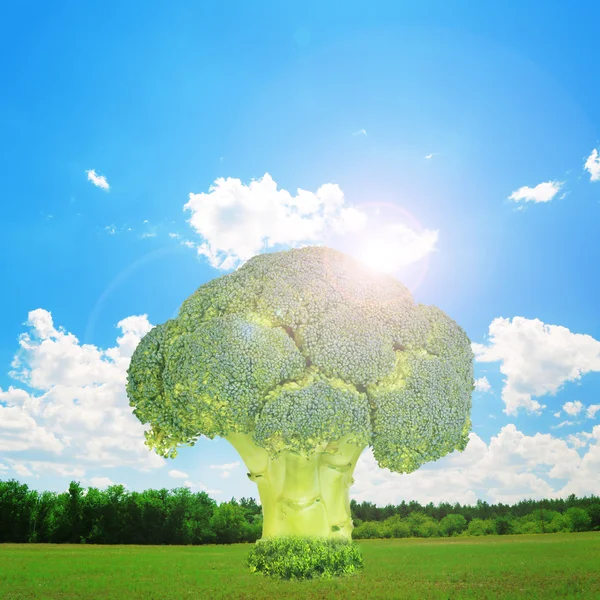 Brokoli ağacı. Fantezi manzara — Stok fotoğraf