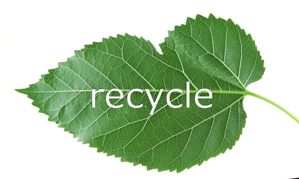 Символ вторичной переработки слов на зеленом листе, концепция переработки — стоковое фото