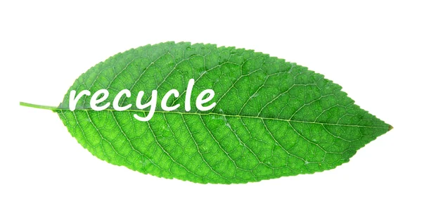 Símbolo de reciclagem de palavras em folha verde, conceito de reciclagem — Fotografia de Stock