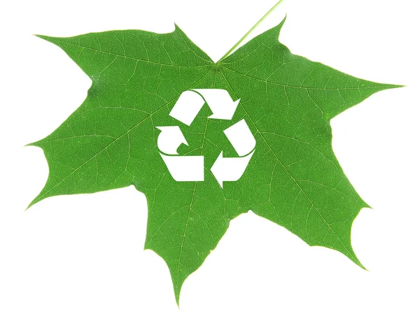 Recycle symbol on green leaf, recycling concept — Stock Photo, Image