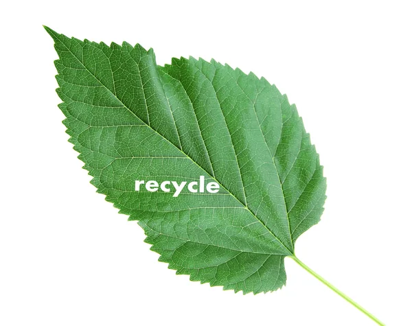 Word recycle symbol on green leaf, recycling concept — Stock Photo, Image