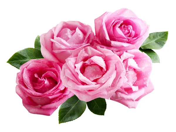 Boeket van mooie roze rozen geïsoleerd op wit — Stockfoto
