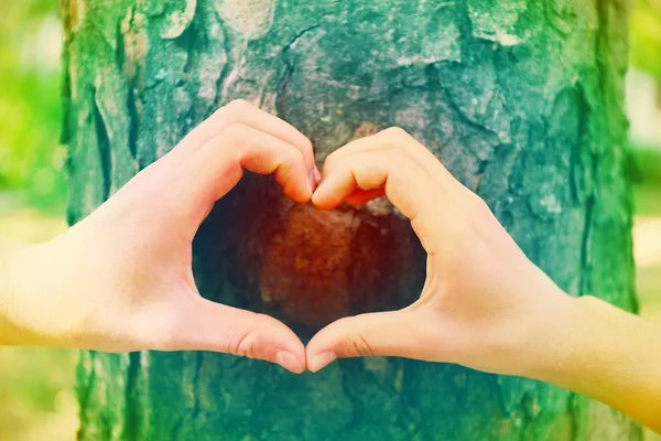 Χέρια, καθιστώντας την καρδιά σχήμα πλαίσιο μπροστά από το δέντρο — Φωτογραφία Αρχείου