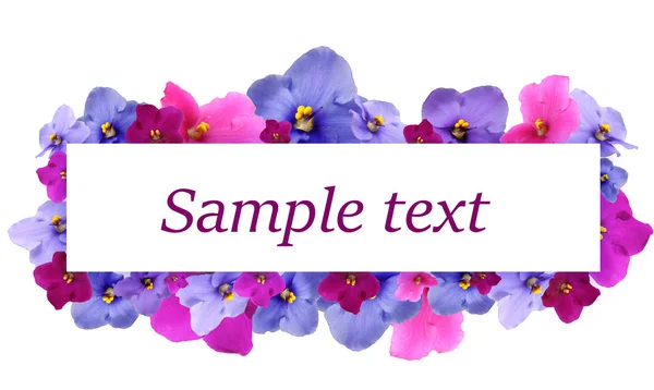 Bellissimi fiori di saintpaulia e biglietto con spazio per il tuo testo isolato su bianco — Foto Stock