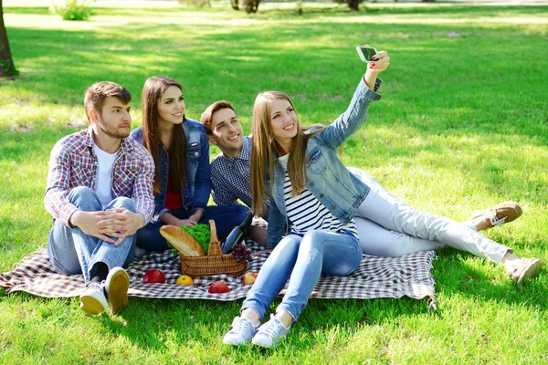 Lykkelige venner på piknik i parken – stockfoto