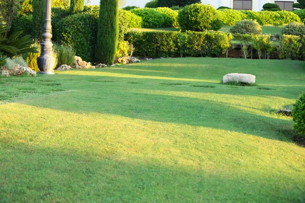 Grön gräsmatta i park — Stockfoto