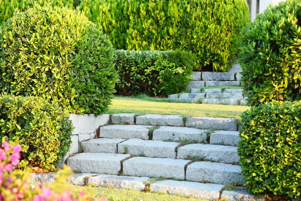 Stenen treden in het park — Stockfoto