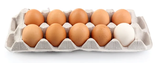 Verschillende eieren in doos pack geïsoleerd op wit — Stockfoto