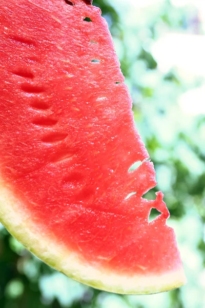 Fresh slice of watermelon on nature background, close up — Stock Photo, Image