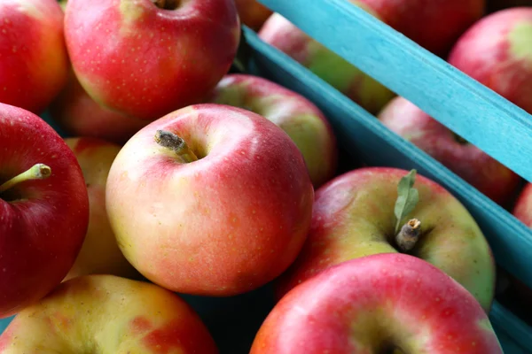 Juicy apples in box, close-up — Stock Photo, Image