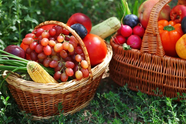 Fresh organic fruits and vegetables in wicker baskets outdoors — Stock Photo, Image