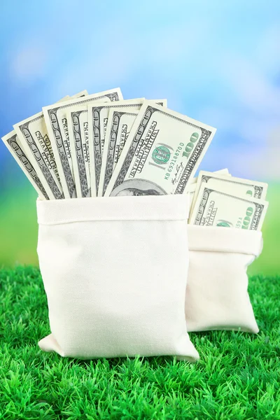 Lot de billets de cent dollars dans des sacs sur l'herbe sur fond naturel — Photo