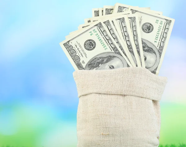 Lot of one hundred dollar bills in bag on grass on natural background — Stock Photo, Image
