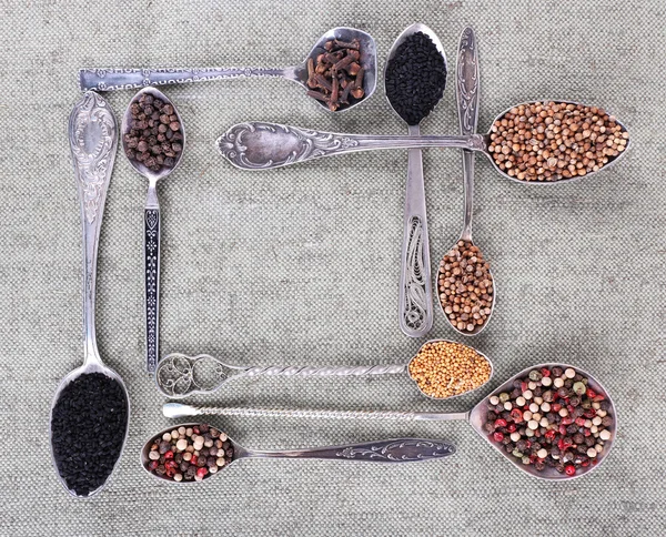 Seasonings in metal spoons — Stock Photo, Image